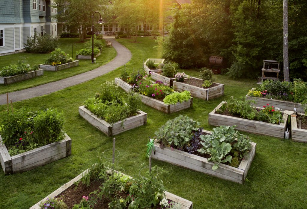 Beautiful homes overlooking accessible raised bed gardens at RiverWoods Exeter in Exeter, New Hampshire.
