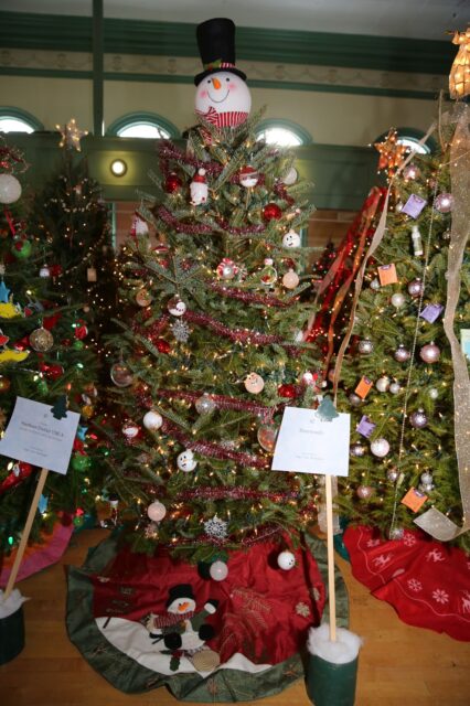 Tree donated by RiverWoods in 2019