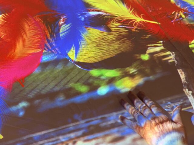 the mobii table projecting colorful feathers images onto a table while a resident's hand touches the feathers 